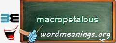WordMeaning blackboard for macropetalous